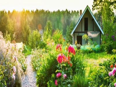 Какие бывают виды кирпича